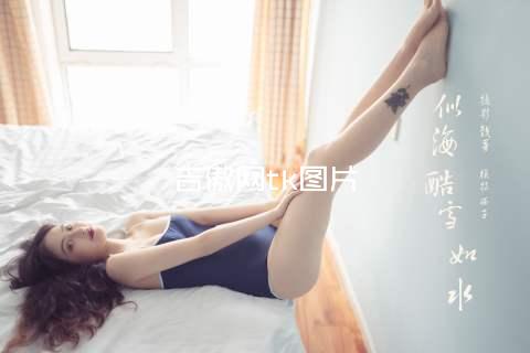吉傲网tk图片